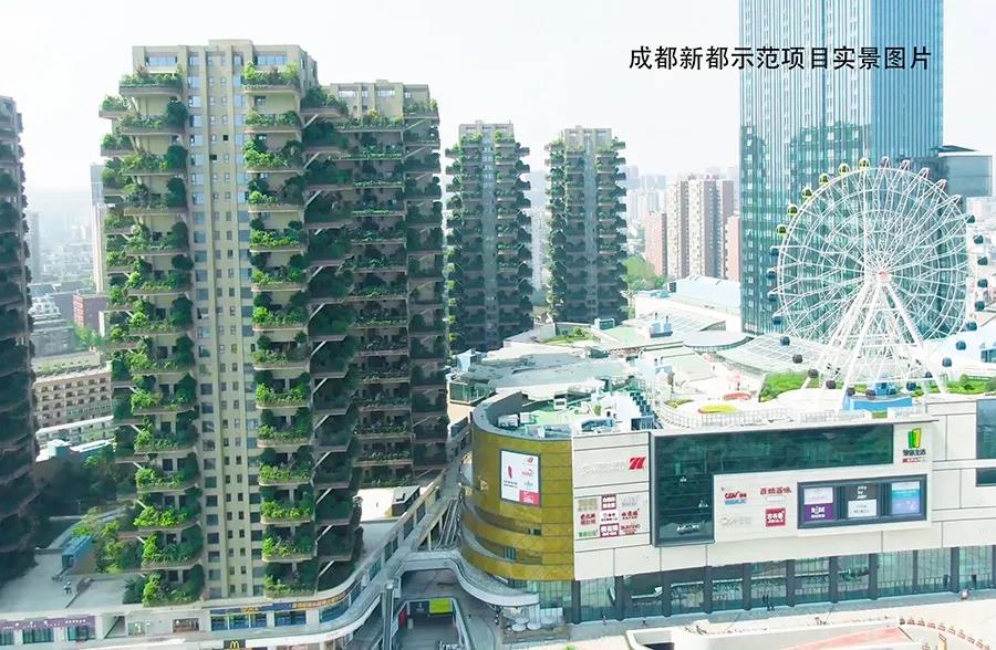 1601963514158443.jpg 5.jpg